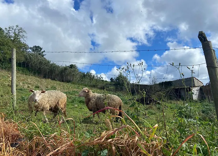 Holiday home Canto Celeste Alcobaca